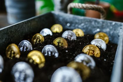 bitcoin dominance