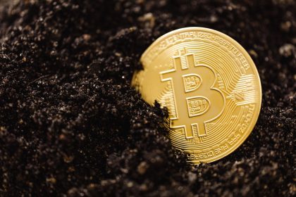 bitcoin dominance
