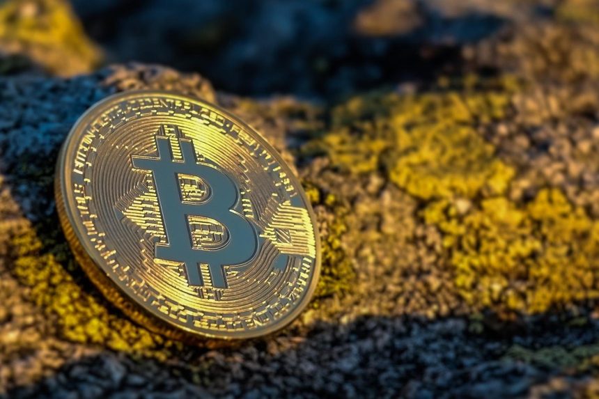 bitcoin dominance