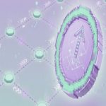 Solana Foundation stake